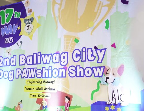 Dog furshionistas, muling rumampa sa 2nd Baliwag City Dog PAWshion Show